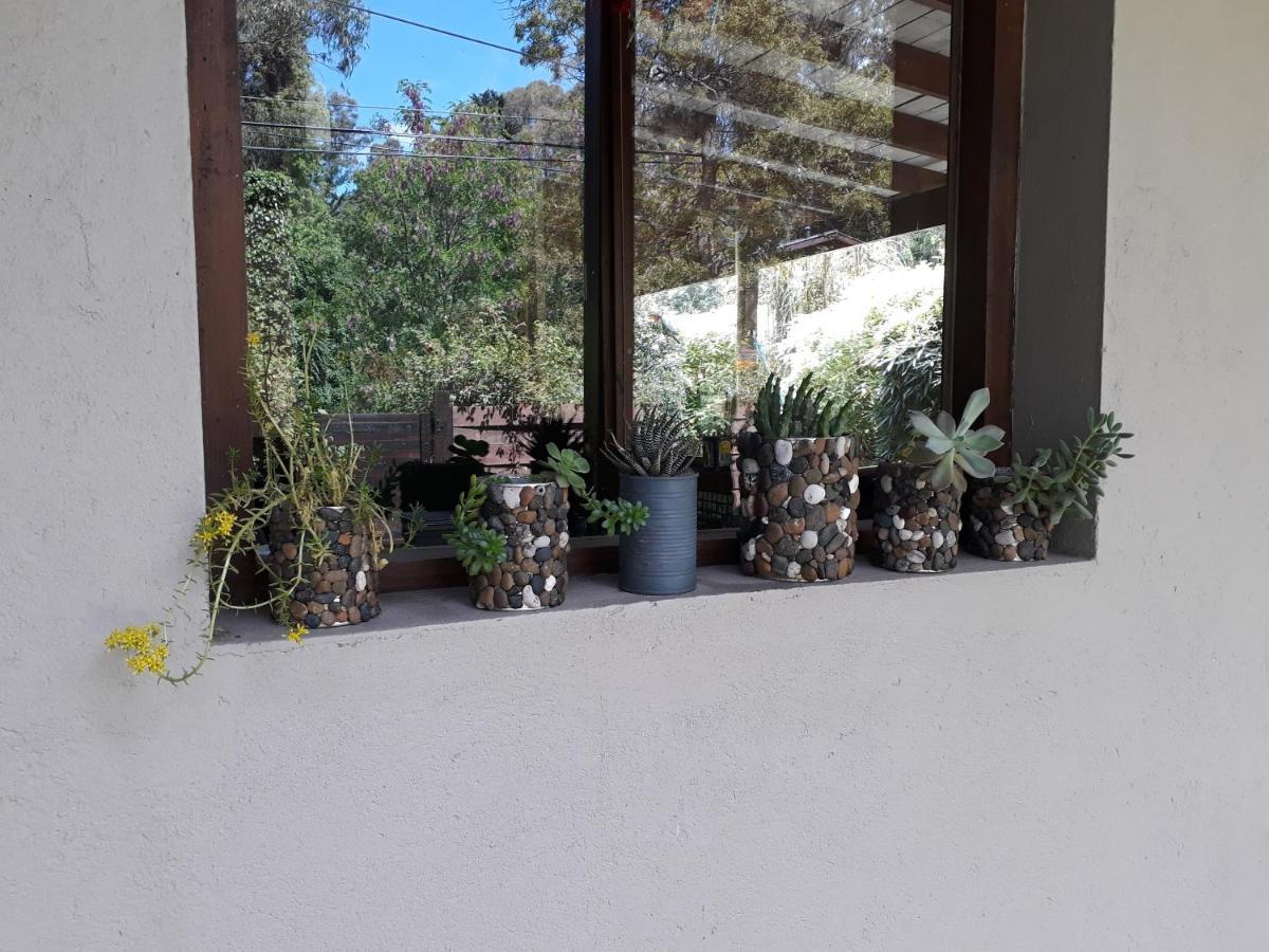 Las Cortaderas Bosque Peralta Ramos Mar del Plata Exterior foto