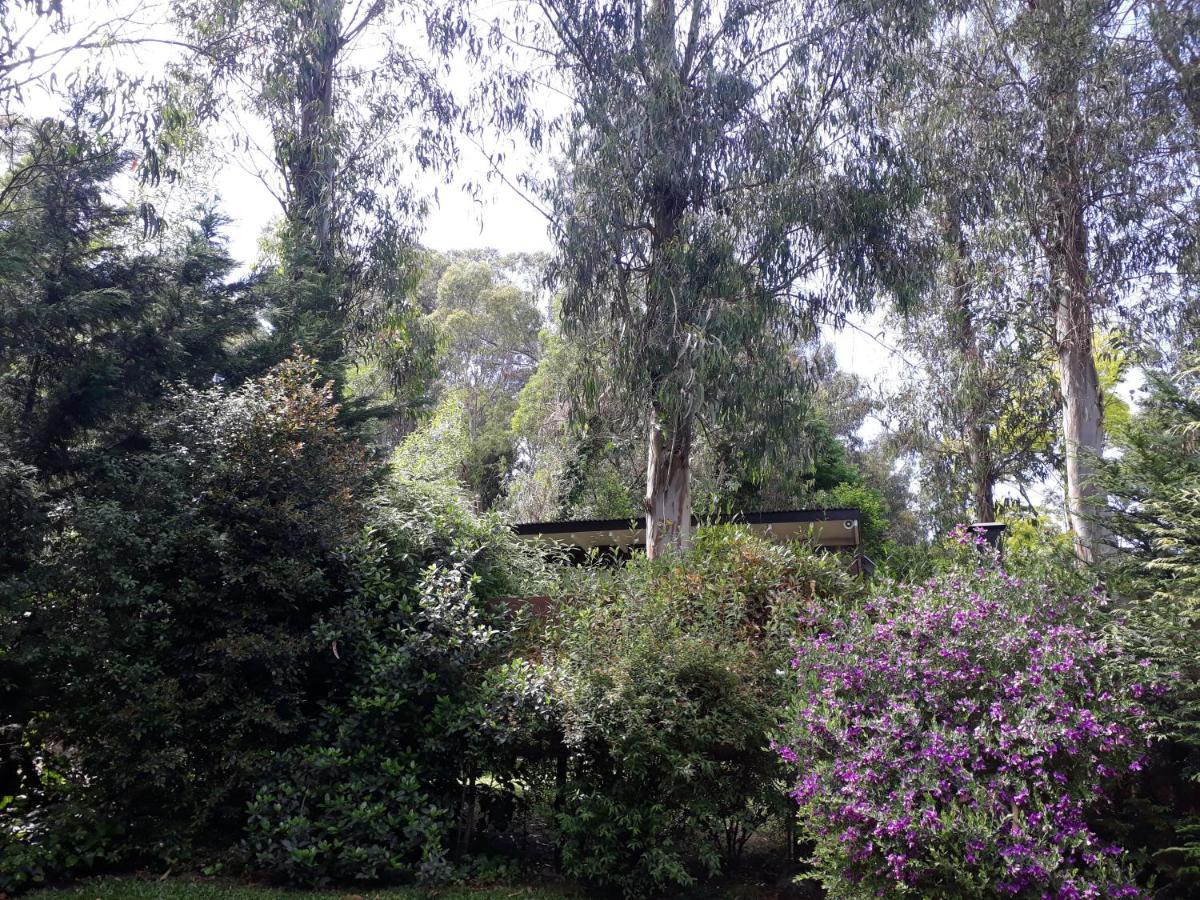 Las Cortaderas Bosque Peralta Ramos Mar del Plata Exterior foto