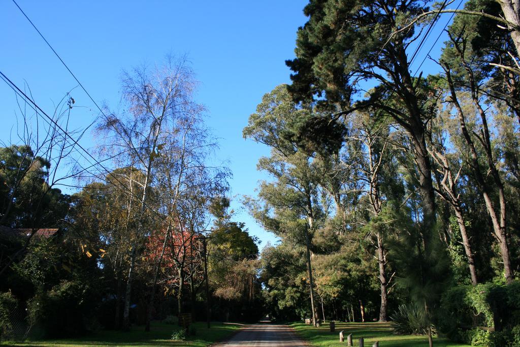 Las Cortaderas Bosque Peralta Ramos Mar del Plata Exterior foto